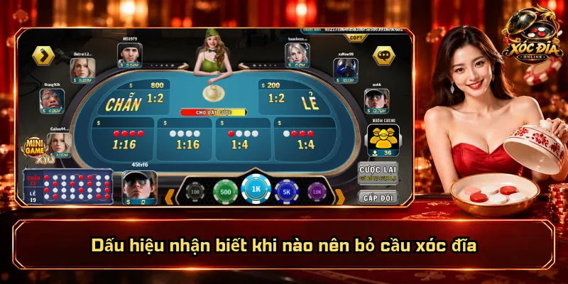 Khi Nào Nên Bỏ Cầu Xóc Đĩa? Dấu Hiệu Nào Cần Dừng? 2 Dấu hiệu nhận biết khi nào nên bỏ cầu xóc đĩa