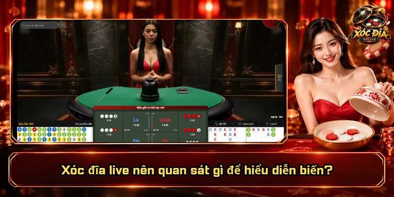 Xóc Đĩa Live Nên Quan Sát Gì? Đâu Là Chi Tiết Đáng Chú Ý? 1 Xóc đĩa live nên quan sát gì để hiểu diễn biến?